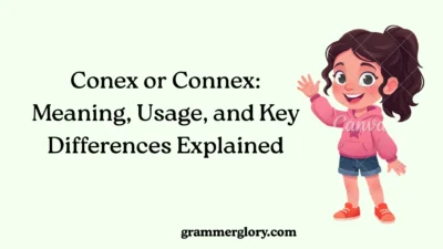 Conex or Connex: Meaning, Usage, and Key Differences Explained